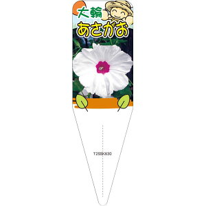 |pxy ATKI i AJcLmqJ jS(100)z115mm×34mm t[x |pi K[fjOpi ϐ ϋv   i햼\x |x Ax x v[