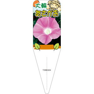 |pxy ATKI i AJcLmiK j S(100)z115mm×34mm t[x |pi K[fjOpi ϐ ϋv   i햼\x |x Ax x v[