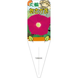 |pxy ATKI i AJcLmxj j S(100)z115mm×34mm t[x |pi K[fjOpi ϐ ϋv   i햼\x |x Ax x v[g
