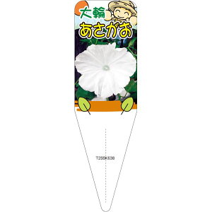 |pxyATKI i AJcLmL jS(100)z115mm×34mm t[x |pi K[fjOpi ϐ ϋv   i햼\x |x Ax x v[g 