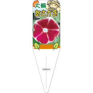 |pxyATKI i AJcLm j S (100)z115mm×34mm t[x |pi K[fjOpi ϐ ϋv   i햼\x |x Ax x v[g