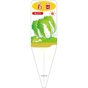 |pxy  ~ S (100)z115mm×34mm t[x |pi K[fjOpi ϐ ϋv   i햼\x |x Ax x v[g | i A n