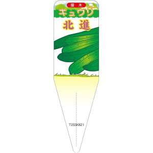 園芸用ラベル【 キュウリ 北進 S (100枚)】115mm×34mm フラワーラベル 園芸用品 ガーデニング用品 耐水性 耐久性 花 木 品種名表示ラベル 園芸ラベル 植物ラベル ラベル プレート 園芸 品種 植物