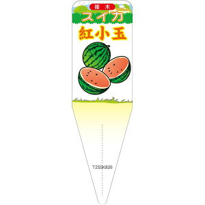 |pxy XCJ Ԃ CXg S(100)z115mm×34mm t[x |pi K[fjOpi ϐ ϋv   i햼\x |x Ax x v[g |