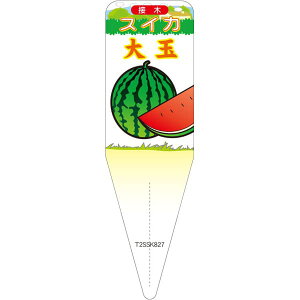 |pxy XCJ  CXg S (100)z115mm×34mm t[x |pi K[fjOpi ϐ ϋv   i햼\x |x Ax x v[g | i