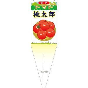 |pxy g}g Y CXg (100)z 115mm×34mm t[x |pi K[fjOpi ϐ ϋv   i햼\x |x Ax x v[g | 