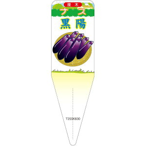 |pxy iX z CXg S (100)z115mm×34mm t[x |pi K[fjOpi ϐ ϋv   i햼\x |x Ax x v[g | i 
