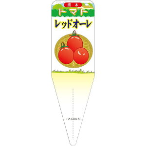 |pxy g}g bhI[ CXg (100)z115mm×34mm t[x |pi K[fjOpi ϐ ϋv   i햼\x |x Ax x v[g 