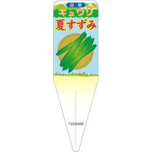 |pxy LE Ă  S (100)z115mm×34mm t[x |pi K[fjOpi ϐ ϋv   i햼\x |x Ax x v[g | 