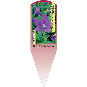 |pxy LLE  d ␫ X (100)z132.5mm×40mm t[x |pi K[fjOpi ϐ ϋv   i햼\x |x Ax x v[g | 