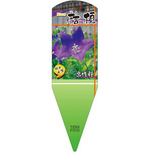 |pxy LLE d  X (100)z132.5mm×40mm t[x |pi K[fjOpi ϐ ϋv   i햼\x |x Ax x v[g | i 