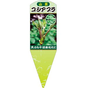 |pxy RVAu X (100)z132.5mm×40mm t[x |pi K[fjOpi ϐ ϋv   i햼\x |x Ax x v[g | i A 