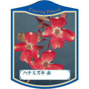 |pxy ni~YL  K(100)z105mm×80mm t[x |pi K[fjOpi ϐ ϋv   i햼\x |x Ax x v[g | i A 