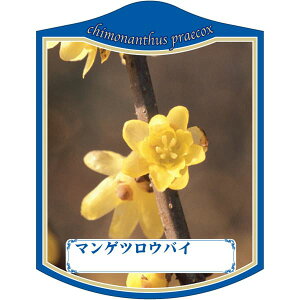 園芸用ラベル【 満月ロウバイ K (100枚)】105mm×80mm フラワーラベル 園芸用品 ガーデニング用品 耐水性 耐久性 花 木 品種名表示ラベル 園芸ラベル 植物ラベル ラベル プレート 園芸 品種 植物