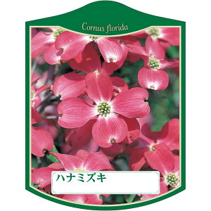 |pxy ni~YL  Θg K(100)z105mm×80mm t[x |pi K[fjOpi ϐ ϋv   i햼\x |x Ax x v[g | i 