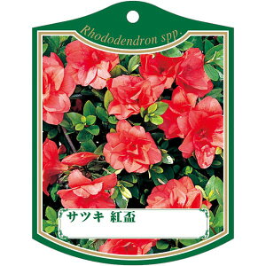 |pxy TcL gu K (100)z105mm×80mm t[x |pi K[fjOpi ϐ ϋv   i햼\x |x Ax x v[g | i A c