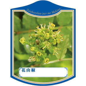 |pxy niTV K (100)z105mm×80mm t[x |pi K[fjOpi ϐ ϋv   i햼\x |x Ax x v[g | i A 