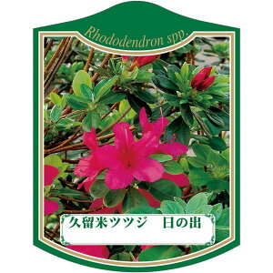 |pxy văccW ̏o K (100)z105mm×80mm t[x |pi K[fjOpi ϐ ϋv   i햼\x |x Ax x v[g | i