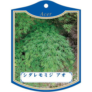 |pxy V_~W  K(100)z105mm×80mm t[x |pi K[fjOpi ϐ ϋv   i햼\x |x Ax x v[g | i A