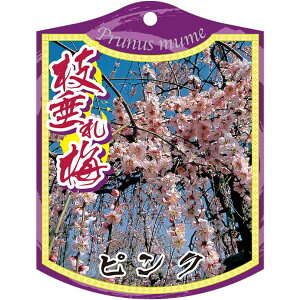 |pxy }~ sN 2005 K (100)z105mm×80mm t[x |pi K[fjOpi ϐ ϋv   i햼\x |x Ax x v[g | i