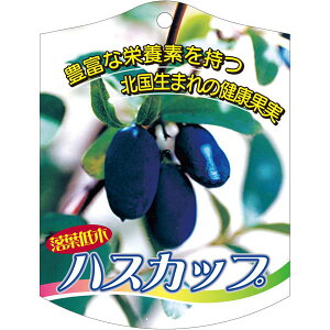 |pxy nXJbv K (100)z105mm×80mm t[x |pi K[fjOpi ϐ ϋv   i햼\x |x Ax x v[g | i A c 