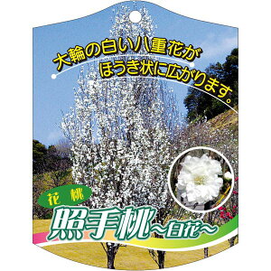 |pxy Ǝ蓍  K (100)z105mm×80mm t[x |pi K[fjOpi ϐ ϋv   i햼\x |x Ax x v[g | i A e