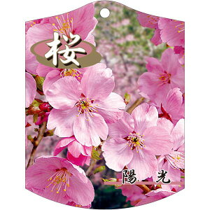 |pxy z  639 K(100)z105mm×80mm t[x |pi K[fjOpi ϐ ϋv   i햼\x |x Ax x v[g | i A E