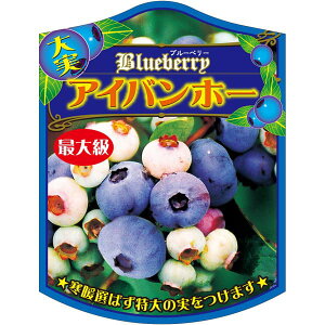 |pxy u[x[ ACoz[ K(100)z105mm×80mm t[x |pi K[fjOpi ϐ ϋv   i햼\x |x Ax x v[g 