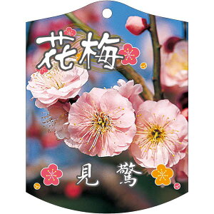 |pxy ~  K (100)z105mm×80mm t[x |pi K[fjOpi ϐ ϋv   i햼\x |x Ax x v[g | i A c c