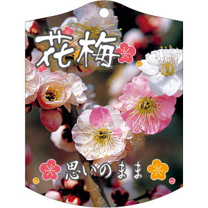 |pxy ~ v̂܂ K(100)z105mm×80mm t[x |pi K[fjOpi ϐ ϋv   i햼\x |x Ax x v[g | i A 
