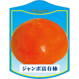 園芸用ラベル【 カキ ジャンボ富有 K (100枚)】105mm×80mm フラワーラベル 園芸用品 ガーデニング用品 耐水性 耐久性 花 木 品種名表示ラベル 園芸ラベル 植物ラベル ラベル プレート 園芸 品種 植物 苗 苗木 ガーデニング 柿 かき フユウ