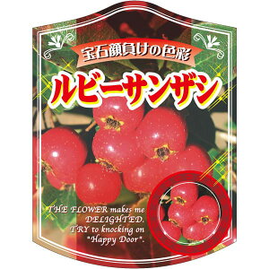 |pxy r[TUV K (100)z105mm×80mm t[x |pi K[fjOpi ϐ ϋv   i햼\x |x Ax x v[g | i A