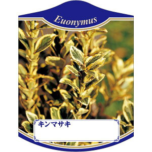 |pxy L}TL K (100)z105mm×80mm t[x |pi K[fjOpi ϐ ϋv   i햼\x |x Ax x v[g | i A c 