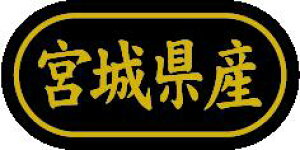 y {錧Y LSL0006Si500jz ̑V[ HiV[ ÎV[ fRV[ MtgV[ ƖpV[  ʕ   t[c Hi   N y _Y HȋV[ w