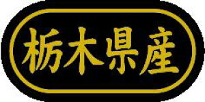 y Ȗ،Y LSL0009Si500jz ̑V[ HiV[ ÎV[ fRV[ MtgV[ ƖpV[  ʕ   t[c Hi   N y _Y HȋV[ w