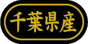y tY LSL0012Si500jz ̑V[ HiV[ ÎV[ fRV[ MtgV[ ƖpV[  ʕ   t[c Hi   N y _Y HȋV[ w