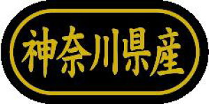 y _ސ쌧Y LSL0014Si500jz ̑V[ HiV[ ÎV[ fRV[ MtgV[ ƖpV[  ʕ   t[c Hi   N y _Y HȋV[ w