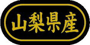 y RY LSL0015Si500jz ̑V[ HiV[ ÎV[ fRV[ MtgV[ ƖpV[  ʕ   t[c Hi   N y _Y HȋV[ w