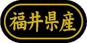 y 䌧Y LSL0020Si500jz ̑V[ HiV[ ÎV[ fRV[ MtgV[ ƖpV[  ʕ   t[c Hi   N y _Y HȋV[ w
