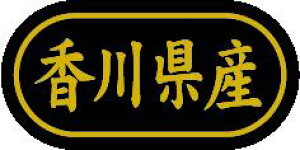 y 쌧Y LSL0037Si500jz ̑V[ HiV[ ÎV[ fRV[ MtgV[ ƖpV[  ʕ   t[c Hi   N y _Y HȋV[ w