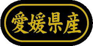y QY LSL0038Si500jz ̑V[ HiV[ ÎV[ fRV[ MtgV[ ƖpV[  ʕ   t[c Hi   N y _Y HȋV[ w