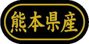 y F{Y LSL0044Si500jz ̑V[ HiV[ ÎV[ fRV[ MtgV[ ƖpV[  ʕ   t[c Hi   N y _Y HȋV[ w