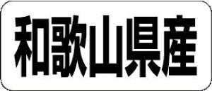 y a̎RY LRF0030Si500jz ̑V[ HiV[ ÎV[ fRV[ MtgV[ ƖpV[  ʕ   t[c Hi   N y _Y HȋV[ w