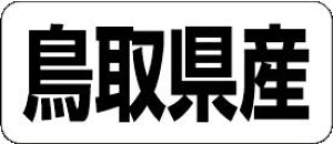 y 挧Y LRF0031Si500jz ̑V[ HiV[ ÎV[ fRV[ MtgV[ ƖpV[  ʕ   t[c Hi   N y _Y HȋV[ w