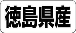 y Y LRF0036Si500jz ̑V[ HiV[ ÎV[ fRV[ MtgV[ ƖpV[  ʕ   t[c Hi   N y _Y HȋV[ w