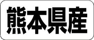 y F{Y LRF0044Si500jz ̑V[ HiV[ ÎV[ fRV[ MtgV[ ƖpV[  ʕ   t[c Hi   N y _Y HȋV[ w