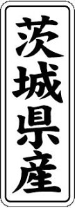 y 錧Y LVL0008Si1000jz ̑V[ HiV[ ÎV[ fRV[ MtgV[ ƖpV[  ʕ   t[c Hi   N y _Y HȋV[ w