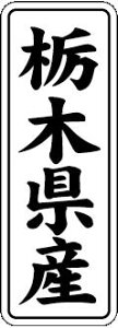 y Ȗ،Y LVL0009Si1000jz ̑V[ HiV[ ÎV[ fRV[ MtgV[ ƖpV[  ʕ   t[c Hi   N y _Y HȋV[ w