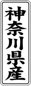 y _ސ쌧Y LVL0014Si1000jz ̑V[ HiV[ ÎV[ fRV[ MtgV[ ƖpV[  ʕ   t[c Hi   N y _Y HȋV[ w