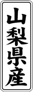 y RY LVL0015Si1000jz ̑V[ HiV[ ÎV[ fRV[ MtgV[ ƖpV[  ʕ   t[c Hi   N y _Y HȋV[ w